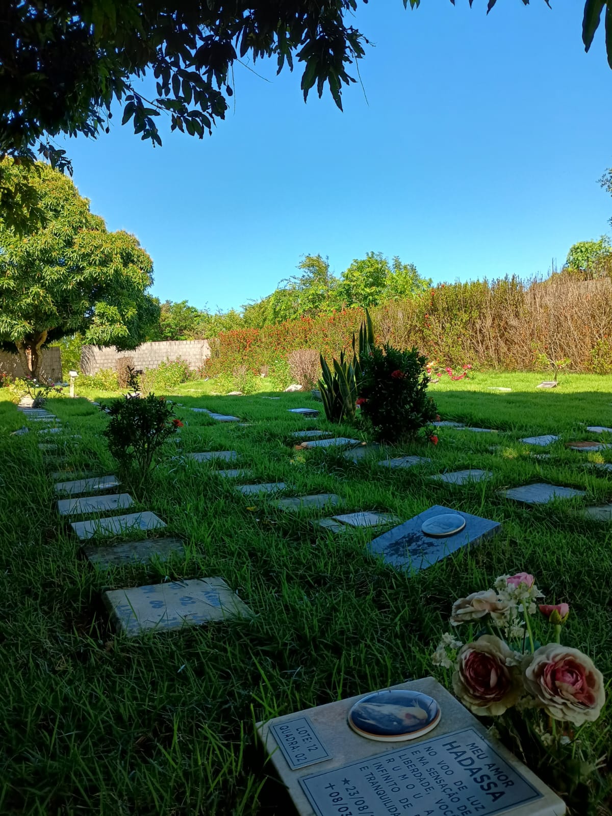 Foto do Cemitério 2