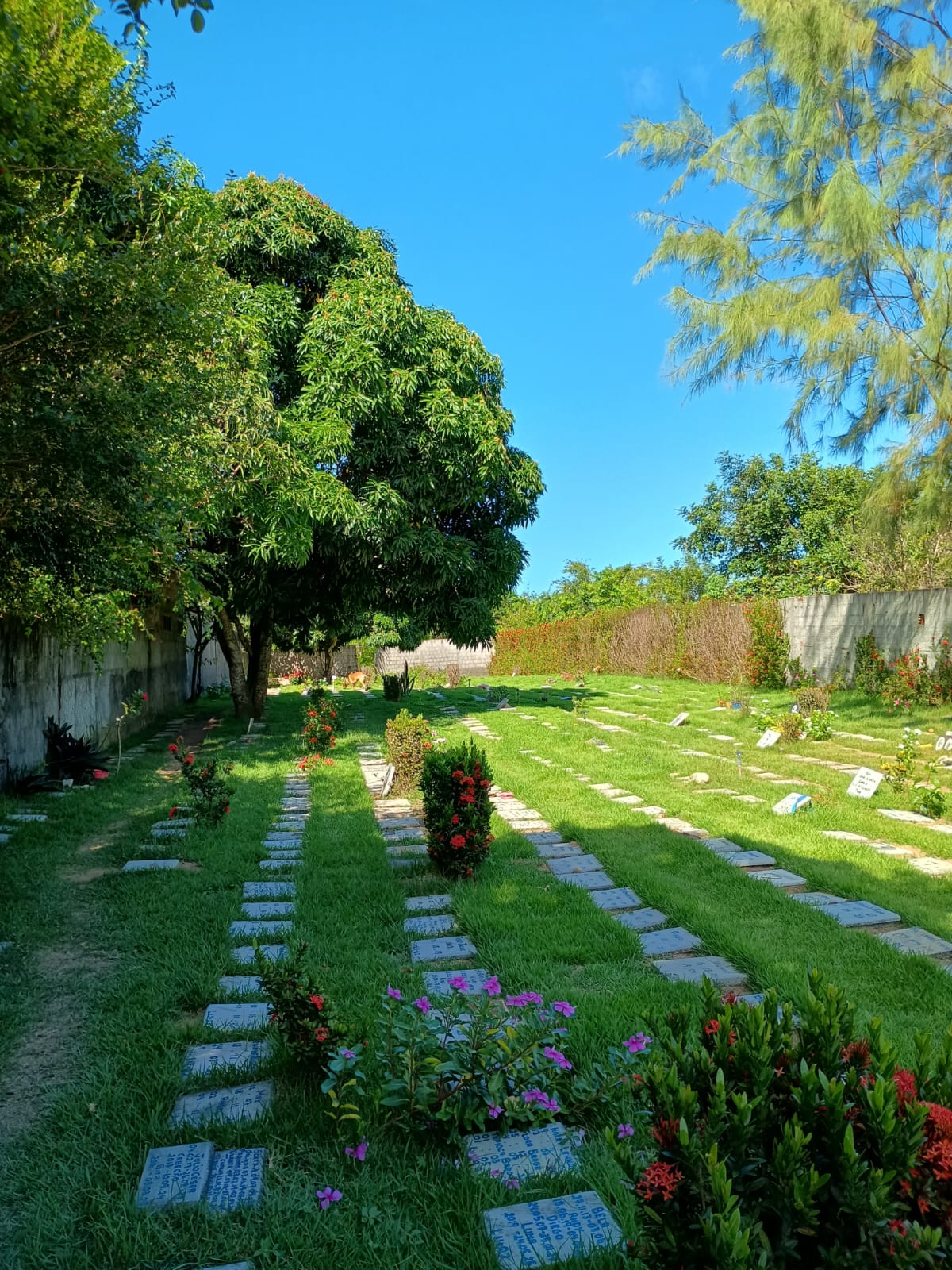 Foto do Cemitério 3